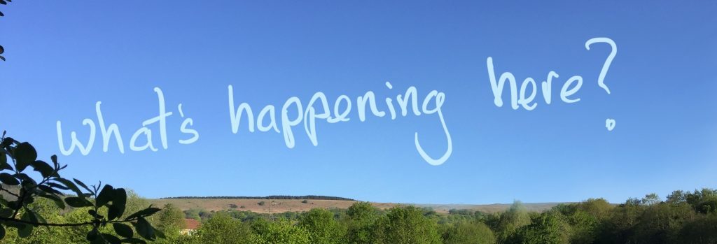 Henllys Local Nature Reserve What's happening here?